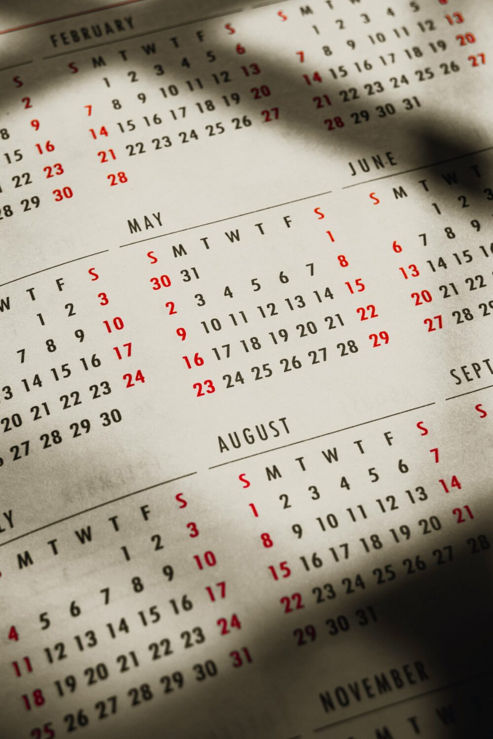Swift Pest Control schedule of pests
