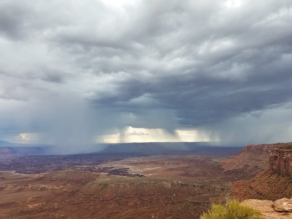 rain in the desert